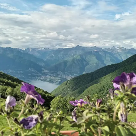 I Viaggi Del Lea, Self Check-in 게스트하우스