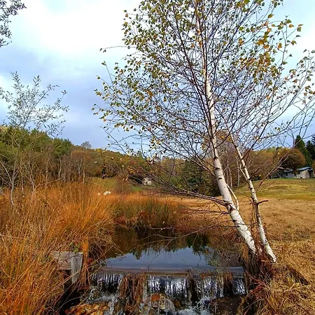 I Viaggi Del Lea Pensjonat
