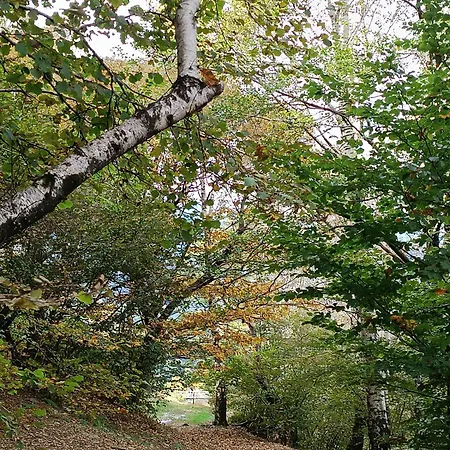 게스트하우스 I Viaggi Del Lea, Self Check-in 24h Cadenazzo