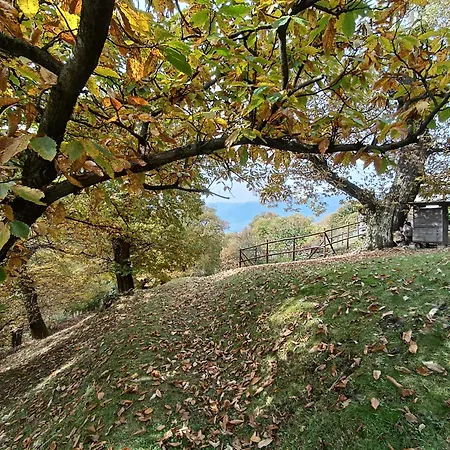 I Viaggi Del Lea 3* Cadenazzo