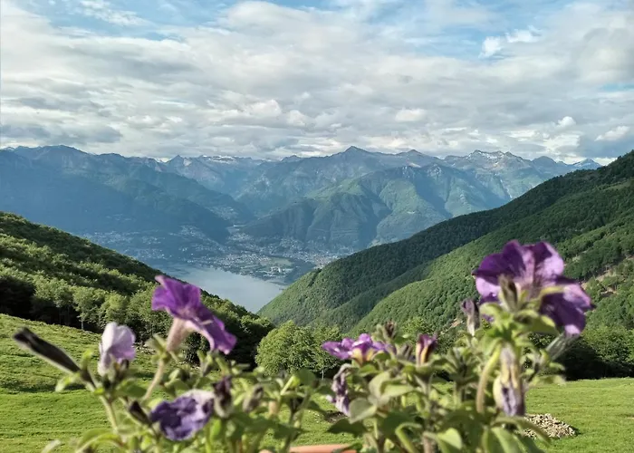 I Viaggi Del Lea, Self Check-in 24h 게스트하우스
