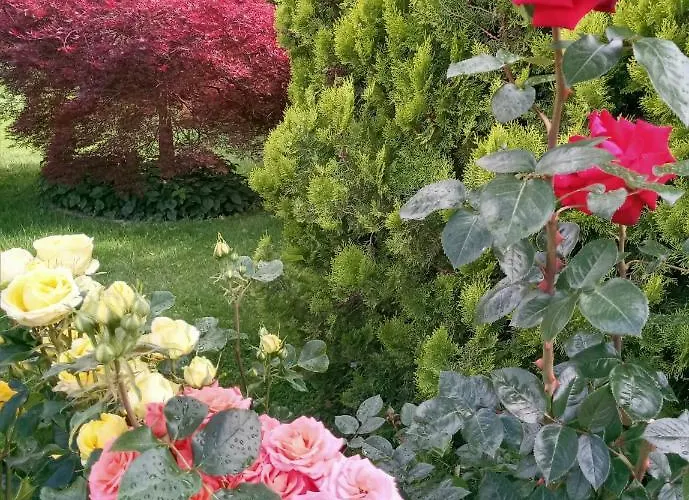 I Viaggi Del Lea, Self Check-in 24h بيت ضيافة