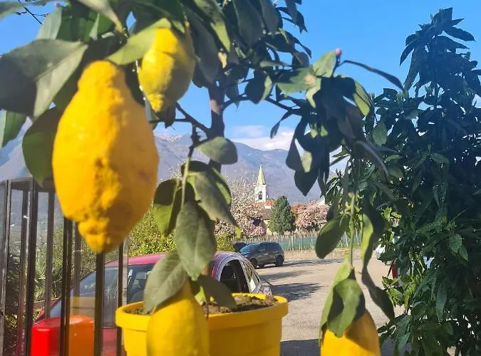 I Viaggi Del Lea, Self Check-in 24h بيت ضيافة Cadenazzo