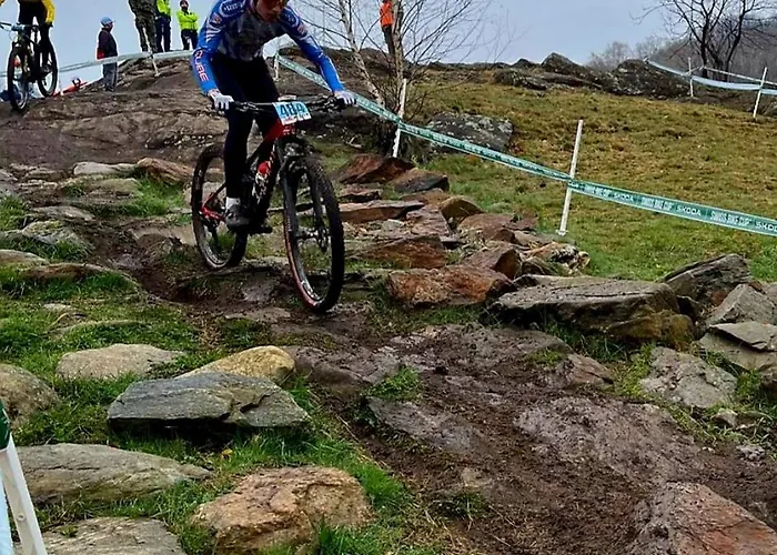 I Viaggi Del Lea, Self Check-in 24h Cadenazzo