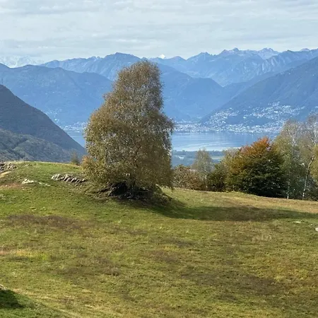 I Viaggi Del Lea, Self Check-in 24h בית הארחה Cadenazzo