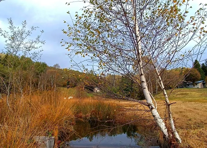 I Viaggi Del Lea, Self Check-in 24h בית הארחה