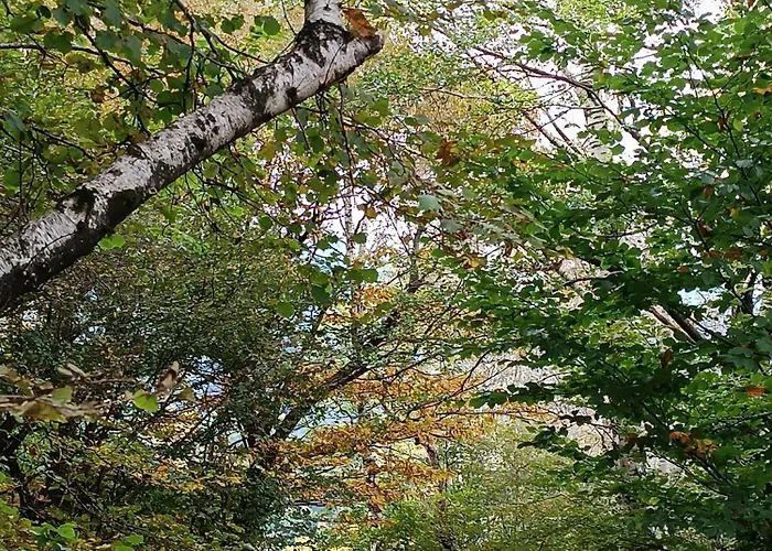 בית הארחה I Viaggi Del Lea, Self Check-in 24h Cadenazzo