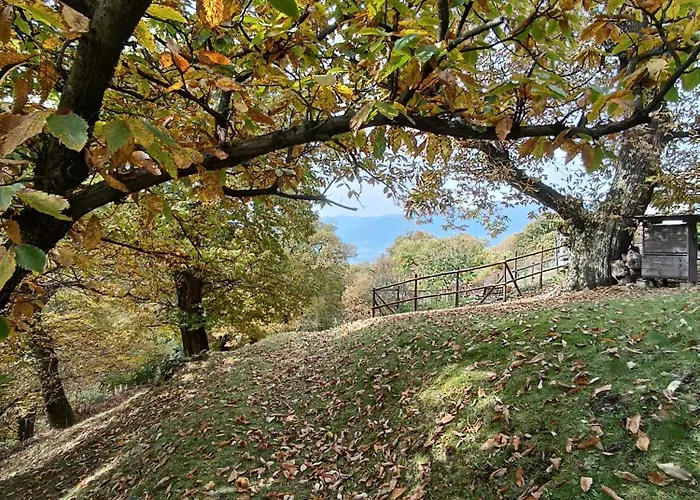 I Viaggi Del Lea, Self Check-in 24h 3* Cadenazzo